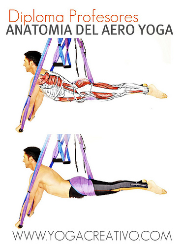 ANATOMIA AERO YOGA, Diploma