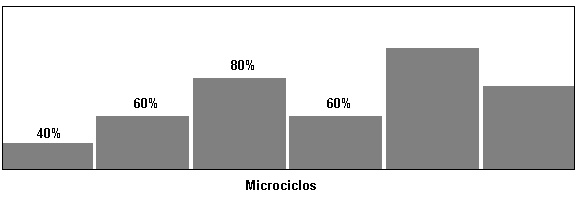 Microciclos